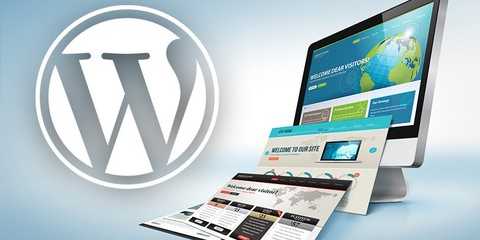The Complete WordPress Automation Course For Beginners!